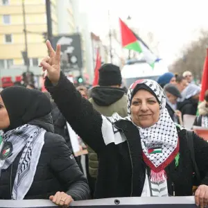 Nahostkonflikt - Demonstration «Solidarität mit Palästina»