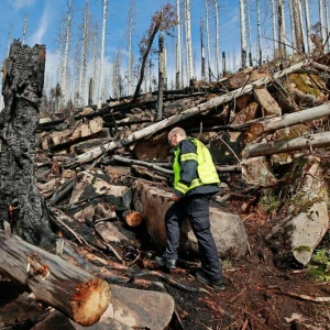 Großbrand am Brocken im Harz