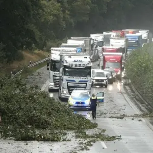 A27 nach Unwetter durch Baum blockiert