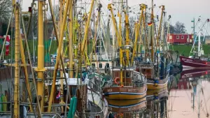Fischereitag 2024 - Hochsee- und Küstenfischerei Weser-Ems