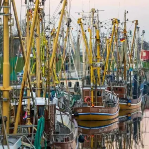 Fischereitag 2024 - Hochsee- und Küstenfischerei Weser-Ems