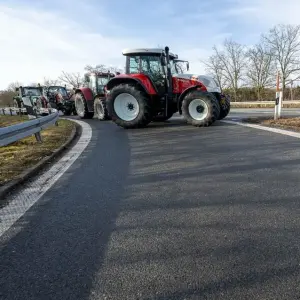 Bauernproteste - München