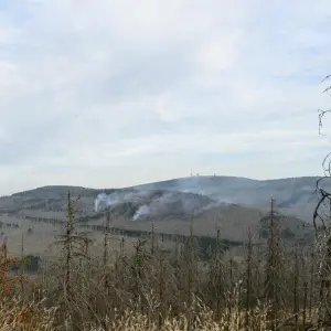 Großbrand am Brocken im Harz