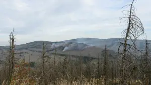 Großbrand am Brocken im Harz