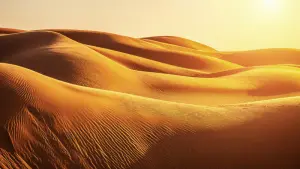 Dune: Prophecy: Die Dune-Serie in der Vorschau – Trailer, Handlung, Cast & Start