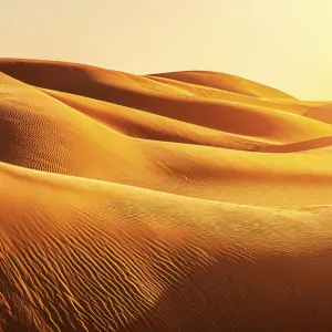 Dune: Prophecy: Die Dune-Serie in der Vorschau – Trailer, Handlung, Cast & Start