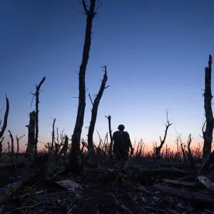 Ukraine-Krieg: Wälder