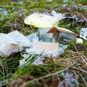 Illegale Müllentsorgung im Wald