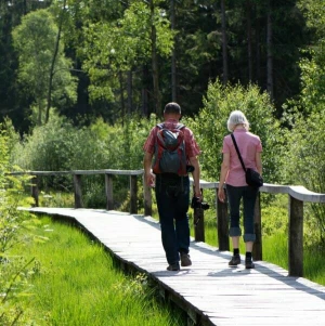 Wanderer im Solling