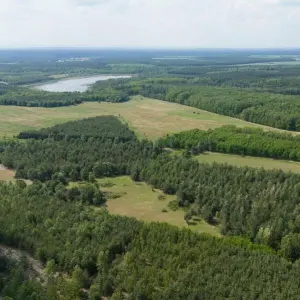 Wälder in Sachsen gut mit Wasser versorgt