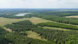 Wälder in Sachsen gut mit Wasser versorgt