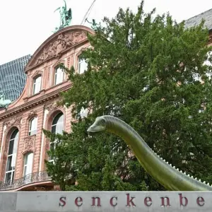 200 Jahre Senckenbergmuseum