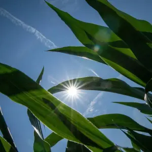 Sommerwetter in Nordbayern