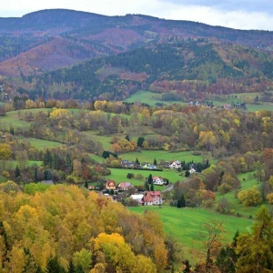 Schäden durch Borkenkäfer und Dürre im Thüringer Wald