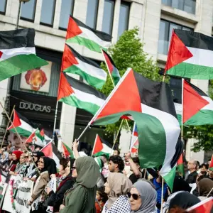 Pro-Palästina-Demonstration