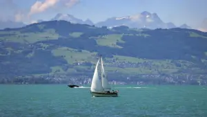 Bodensee bei Bregenz mit Blick auf Appenzell und Säntis