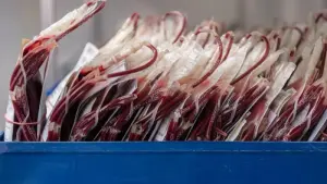 Weniger Blutspenden im Dezember erwartet
