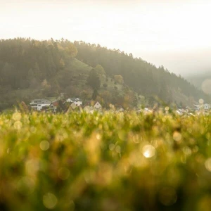 Herbst in Baden-Württemberg