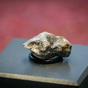 Ribbecker Meteoriten-Bruchstücke im Naturkundemuseum