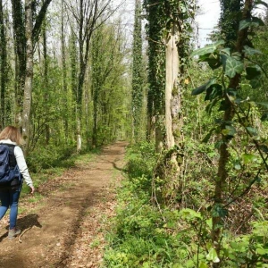 Eine Frau wandert im Wald