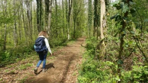 Eine Frau wandert im Wald