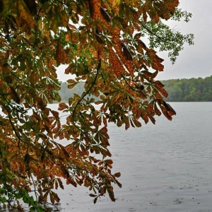 Regen zum Wochenstart