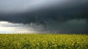 Unwetter in Baden-Württemberg