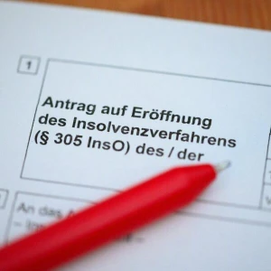 Formular für den Insolvenzantrag