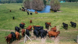 17. Bio-Landpartie in Mecklenburg-Vorpommern