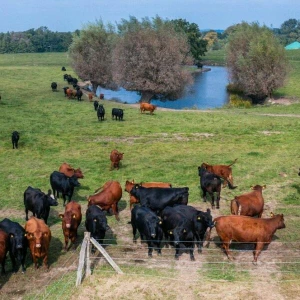 17. Bio-Landpartie in Mecklenburg-Vorpommern