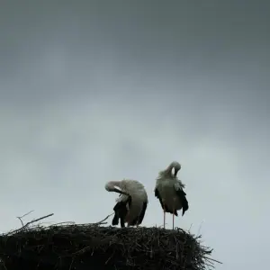 Wetter in Baden-Württemberg