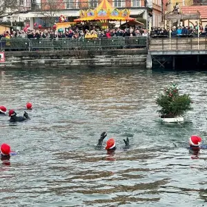 Nikolausschwimmen im Bodensee