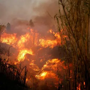 Großbrand nahe Athen