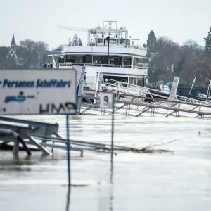 Hochwasser am Rhein bei Bonn