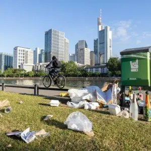 Müll am Mainufer in Frankfurt