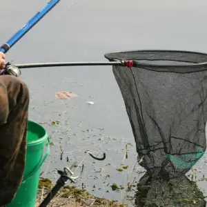 Angler in Mecklenburg-Vorpommern