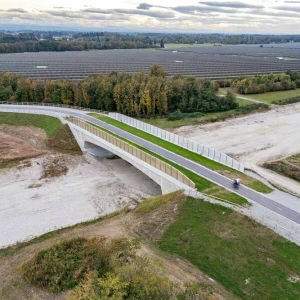 Brücke für Fledermäuse