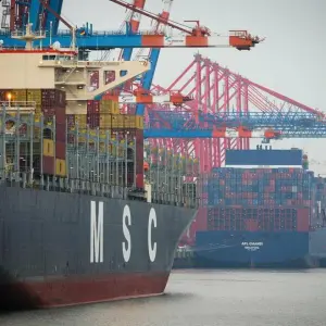 MSC-Containerschiff im Hamburger Hafen