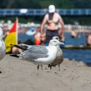 Sommerferien - Reiseverkehr und volle Strände im Norden