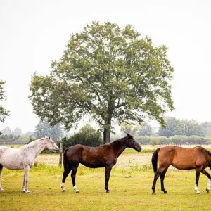 Wetter in Niedersachsen