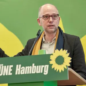 Kleiner Parteitag Grüne Hamburg