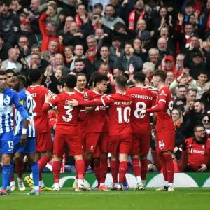 FC Liverpool - Brighton & Hove Albion