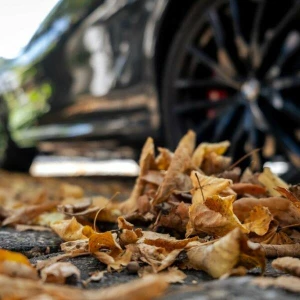 Herbstlaub liegt am Strassenrand neben einem parkenden Auto