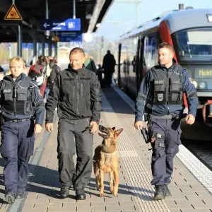 Polizeihunde in Sachsen-Anhalt