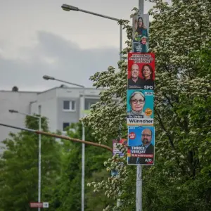Wahlplakate in Halle (Saale)