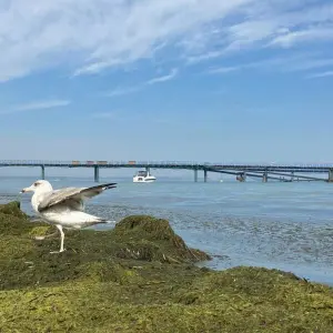 Sommerwetter an der Ostsee