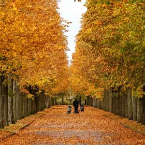 Herbststimmung in Potsdam