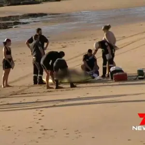Vier Menschen vor australischer Insel ertrunken