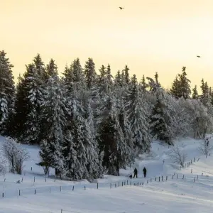 Winterwetter im Südschwarzwald