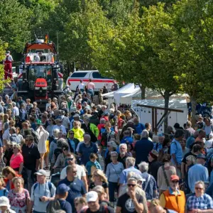 Wustrower Seebrückenfest